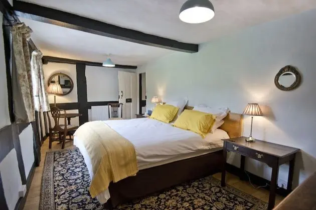 Deluxe Büyük Yataklı Tek Kişilik Oda, 1 En Büyük (King) Boy Yatak, Banyolu/Duşlu, Bahçe Manzaralı