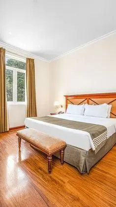 Deluxe Oda, 1 En Büyük (King) Boy Yatak