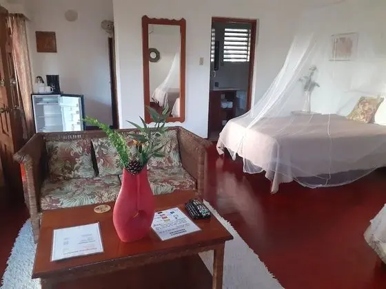 Tek Büyük Yataklı Oda (With AC)