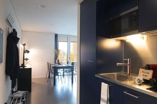 Apart Daire, 1 Yatak Odası, Engellilere Uygun, Balkon
