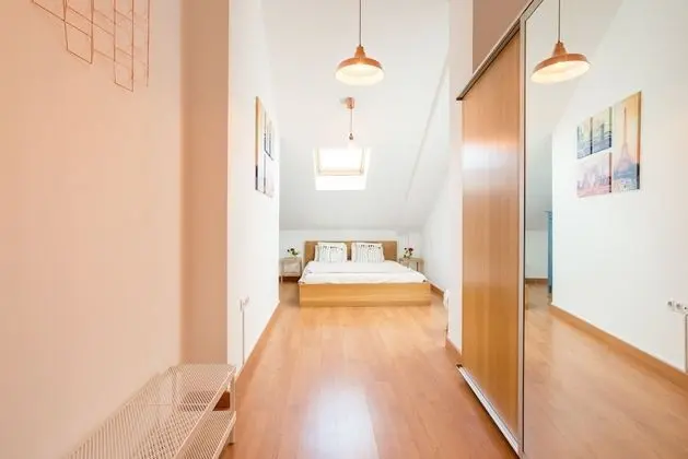 Çatı Katı Süiti (Penthouse), 1 Yatak Odası, Teras