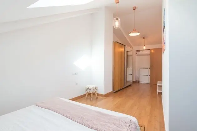 Çatı Katı Süiti (Penthouse), 1 Yatak Odası, Teras