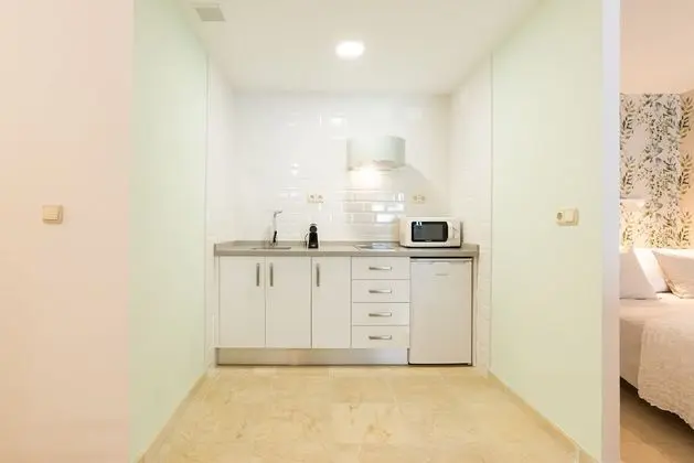 Çatı Katı (Loft), 1 Yatak Odası, Teras
