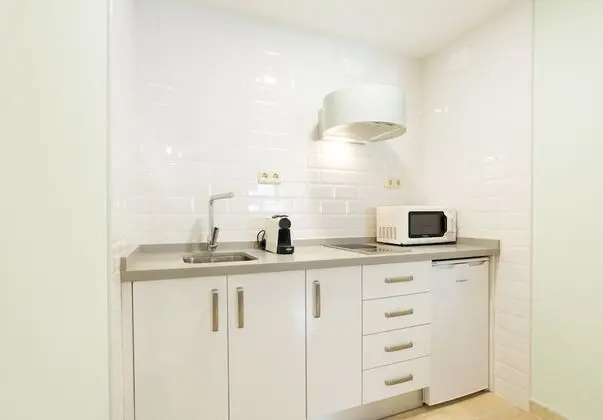 Çatı Katı (Loft), 1 Yatak Odası, Teras