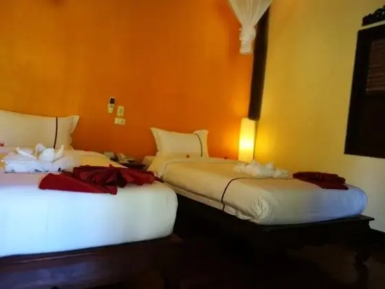 Superior Double or Twin Room with Garden View