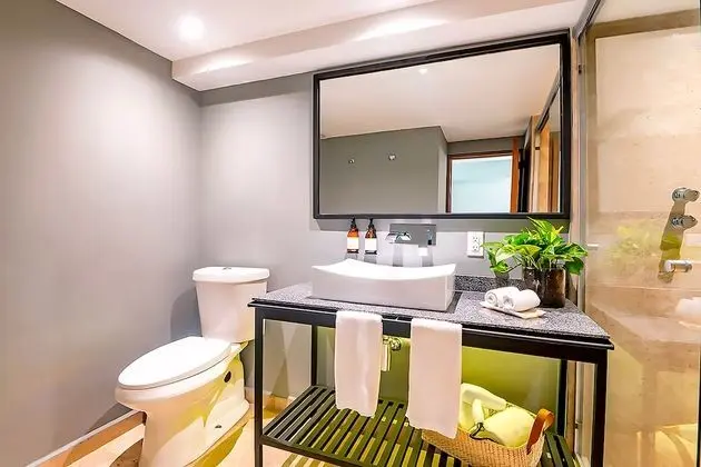 Park View Balcony Suite