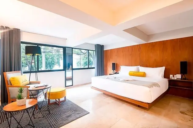 Park View Suite