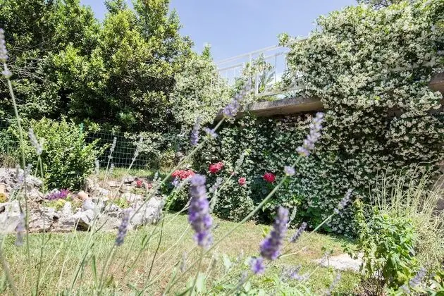 Villa (Three-Bedroom Holiday Home)