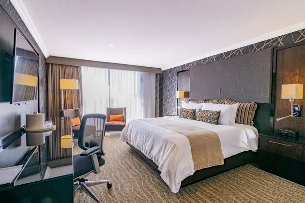 Lucerna Select, 1 King Bed