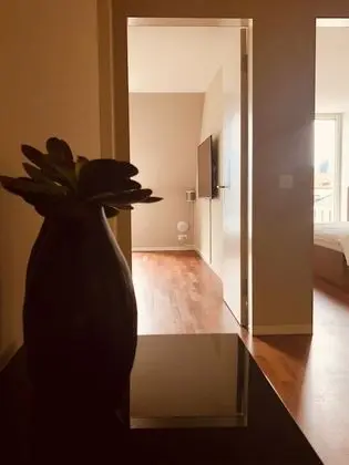 City Apart Daire, 3 Yatak Odası, Göl Manzaralı, Göl Kenarı