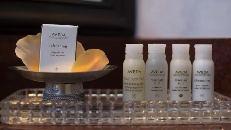 Deluxe Oda, 2 Çift Kişilik Yatak