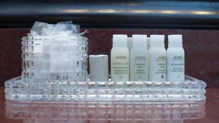 Deluxe Oda, 2 Çift Kişilik Yatak, Engellilere Uygun