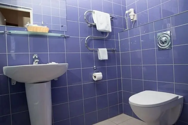 Comfort Tek Büyük veya İki Ayrı Yataklı Oda, Şehir Manzaralı