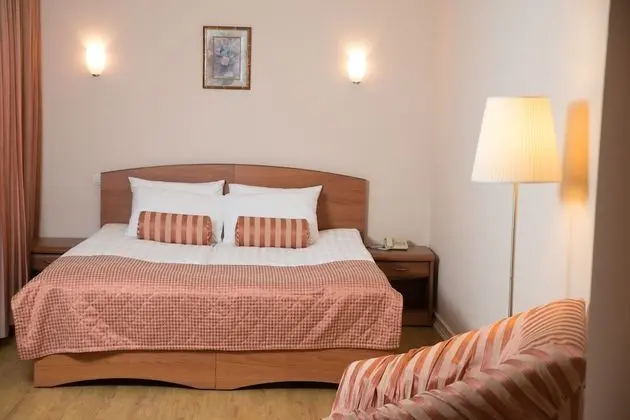 Deluxe Oda, 1 En Büyük (King) Boy Yatak ve Çekyat, Şehir Manzaralı