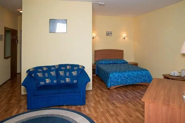 Deluxe Oda, 1 En Büyük (King) Boy Yatak ve Çekyat, Şehir Manzaralı