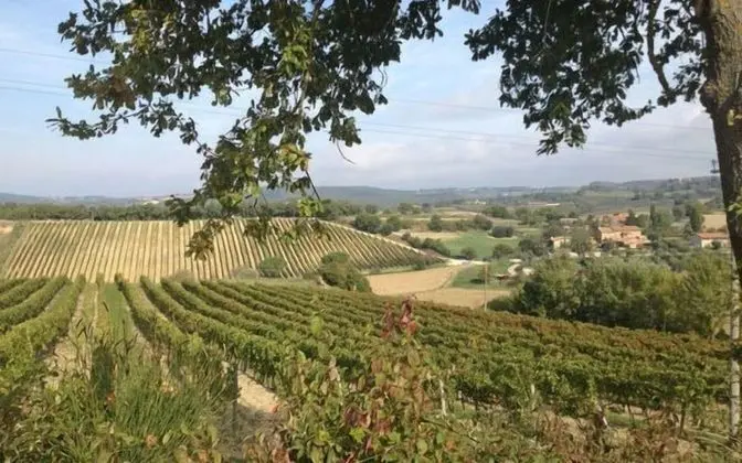 Villa, 5 Yatak Odası