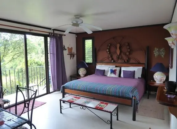 Oda, 1 En Büyük (King) Boy Yatak, Balkon, Göl Manzaralı (Butterfly Room)