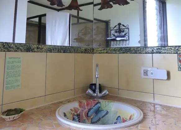 Oda, 1 En Büyük (King) Boy Yatak, Balkon, Göl Manzaralı (Butterfly Room)