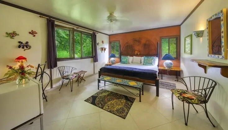 Oda, Bahçe Manzaralı (Turtle Room)