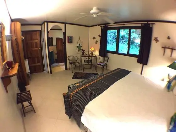 Oda, Bahçe Manzaralı (Turtle Room)