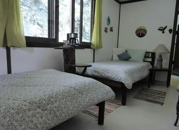 Tek Büyük Yataklı Oda, 2 Tek Kişilik Yatak (Flower Room)