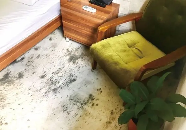 Tek Büyük Yataklı Oda