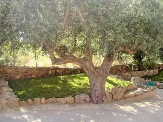 Apart Daire, 3 Yatak Odası, Sıcak Su Havuzu