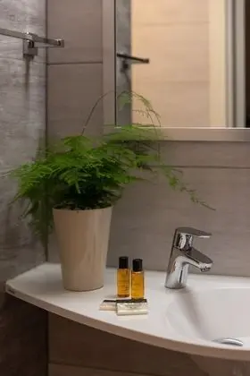 Business İki Ayrı Yataklı Oda