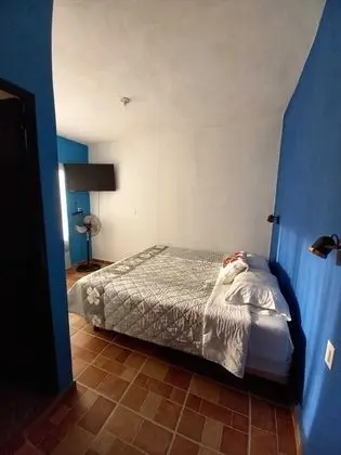 Oda, 1 Yatak Odası, Teras