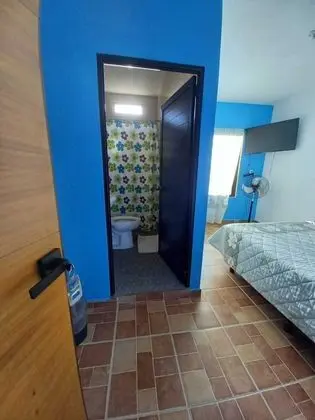 Oda, 1 Yatak Odası, Teras