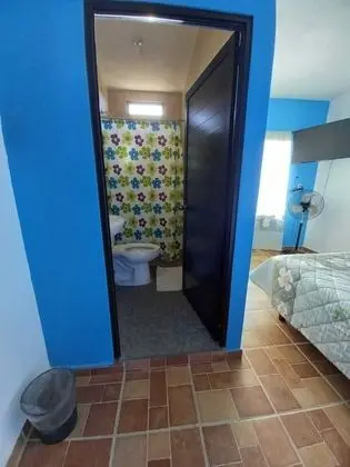 Oda, 1 Yatak Odası, Teras