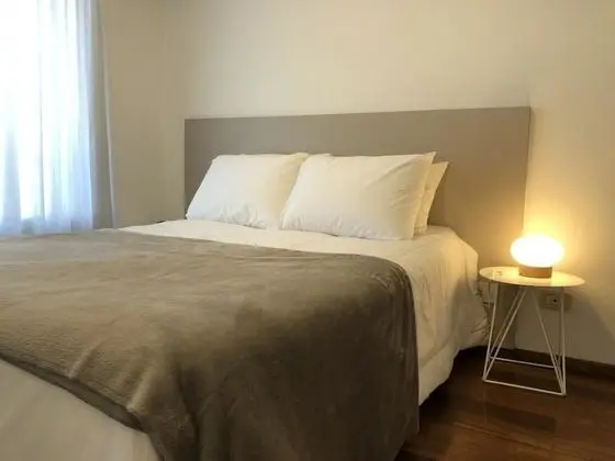 Standard Apart Daire, 1 Çift Kişilik Yatak, Şehir Manzaralı
