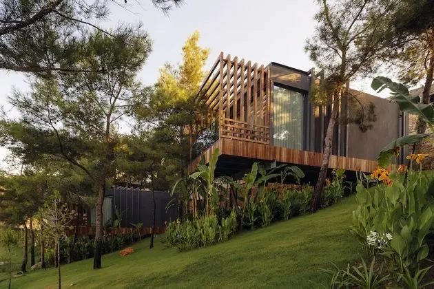 Forest Room Sea View (Lujo Edition)