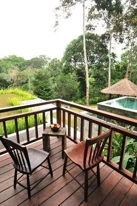 Deluxe Oda, Havuz Manzaralı (Deluxe Pool View)