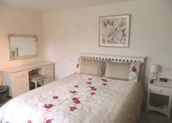 Superior Tek Büyük Yataklı Oda