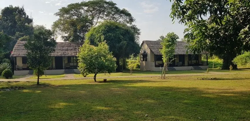 Standard Bungalov (Thached)