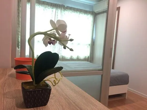 1 Bedroom Condo