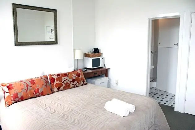 Premium Tek Büyük Yataklı Oda, Banyolu/Duşlu (Room 9)