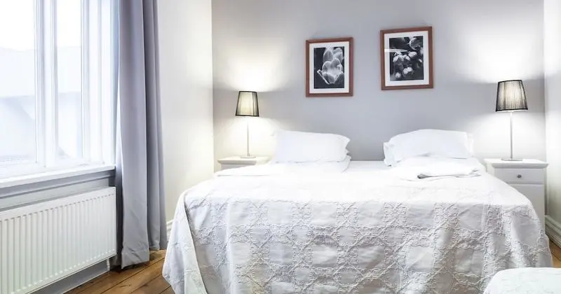 One Bedroom Deluxe Amtmannstigur 5