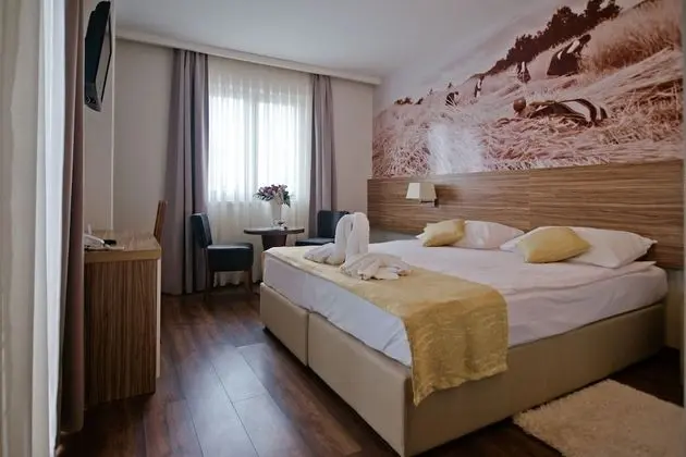 Standard Tek Büyük veya İki Ayrı Yataklı Oda, Şehir Manzaralı