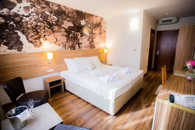 Standard Tek Büyük veya İki Ayrı Yataklı Oda, Şehir Manzaralı