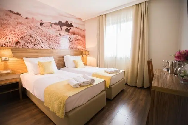 Standard Tek Büyük veya İki Ayrı Yataklı Oda, Şehir Manzaralı