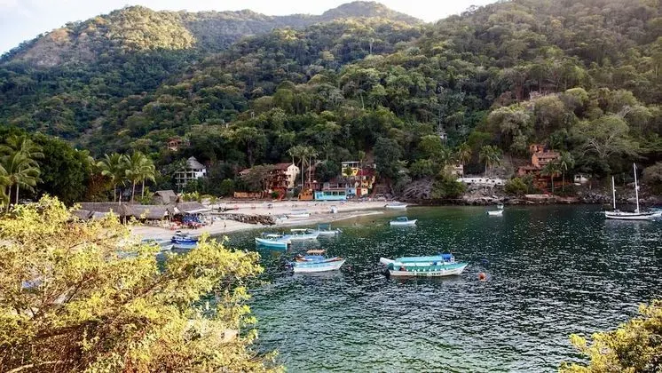 Oda, 1 Yatak Odası, Veranda