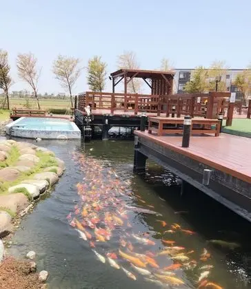 Basic Tek Büyük Yataklı Oda