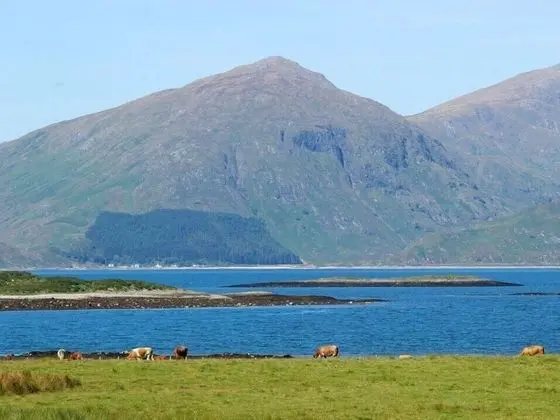 Apart Daire, Bahçe Manzaralı