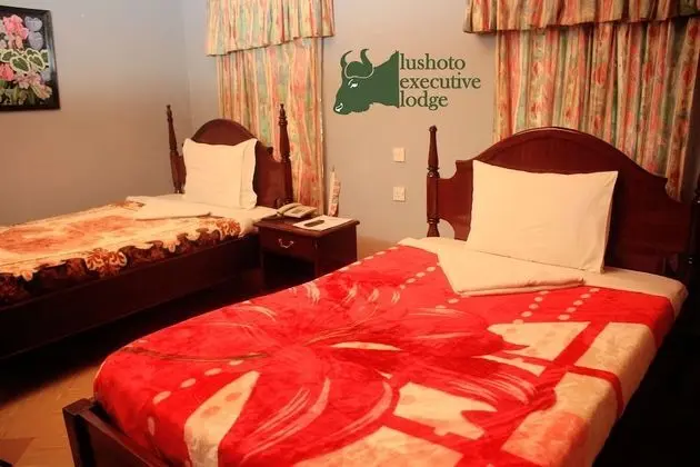 Deluxe Tek Büyük veya İki Ayrı Yataklı Oda