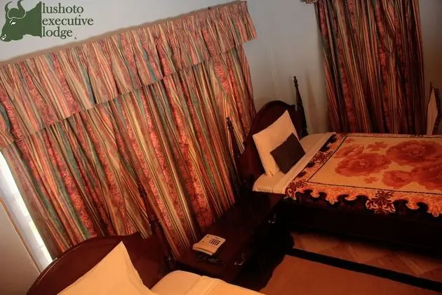 Deluxe Tek Büyük veya İki Ayrı Yataklı Oda