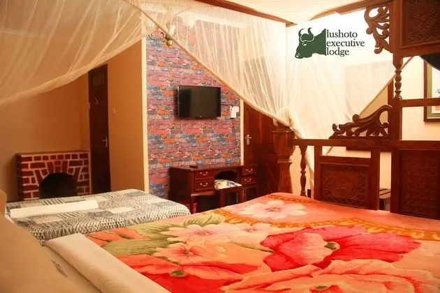 Superior Tek Büyük Yataklı Oda, 1 Büyük (Queen) Boy Yatak