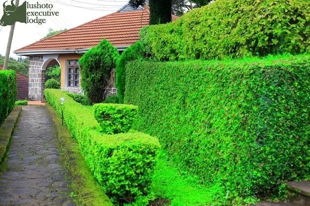 Superior Tek Büyük Yataklı Oda, 1 Büyük (Queen) Boy Yatak