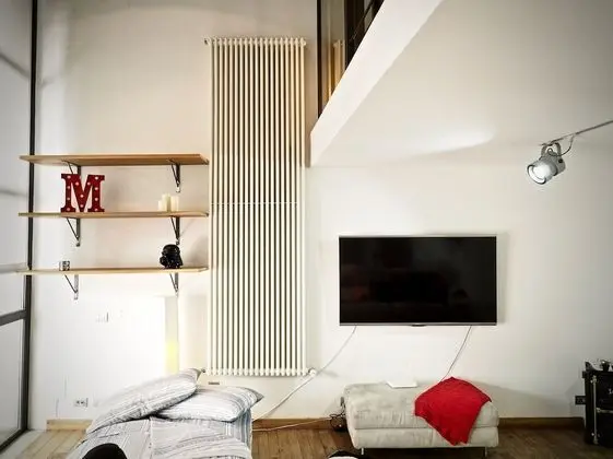 Çatı Katı (Loft)